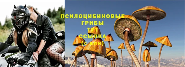 гидропоника Нягань