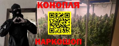альфа пвп Аргун