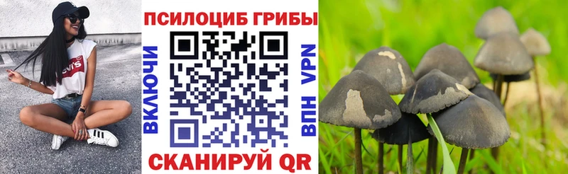 Галлюциногенные грибы MAGIC MUSHROOMS  Братск 