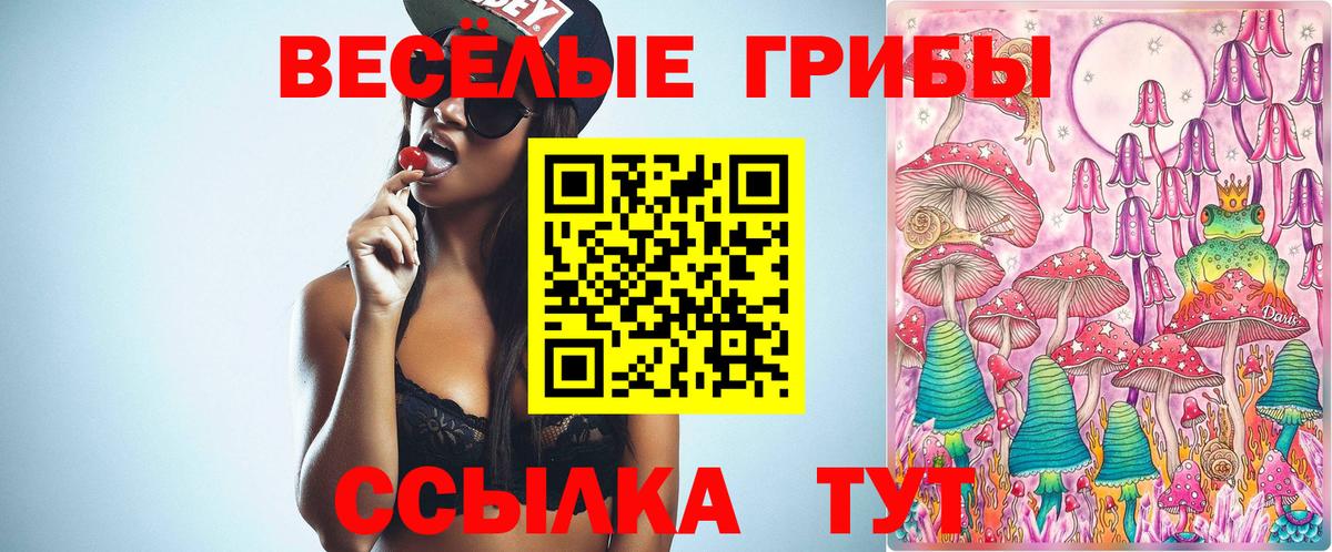 Братск  Псилоцибиновые грибы MAGIC MUSHROOMS  Вход с VPN 
